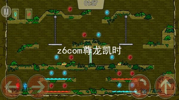 z6com尊龙凯时