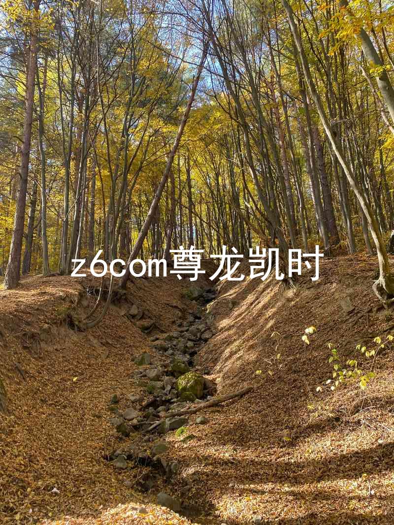 z6com尊龙凯时