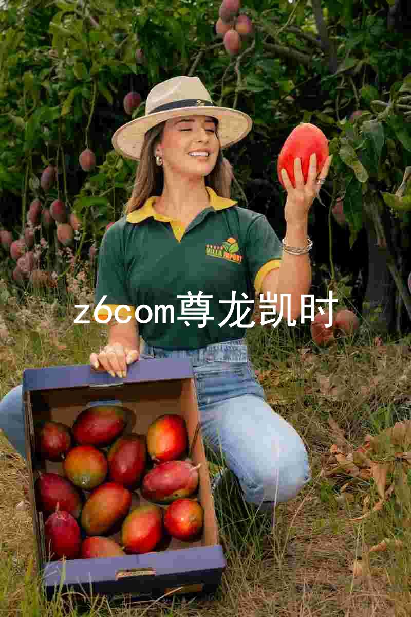 z6com尊龙凯时