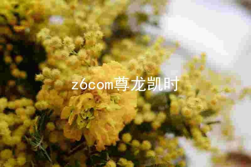 z6com尊龙凯时
