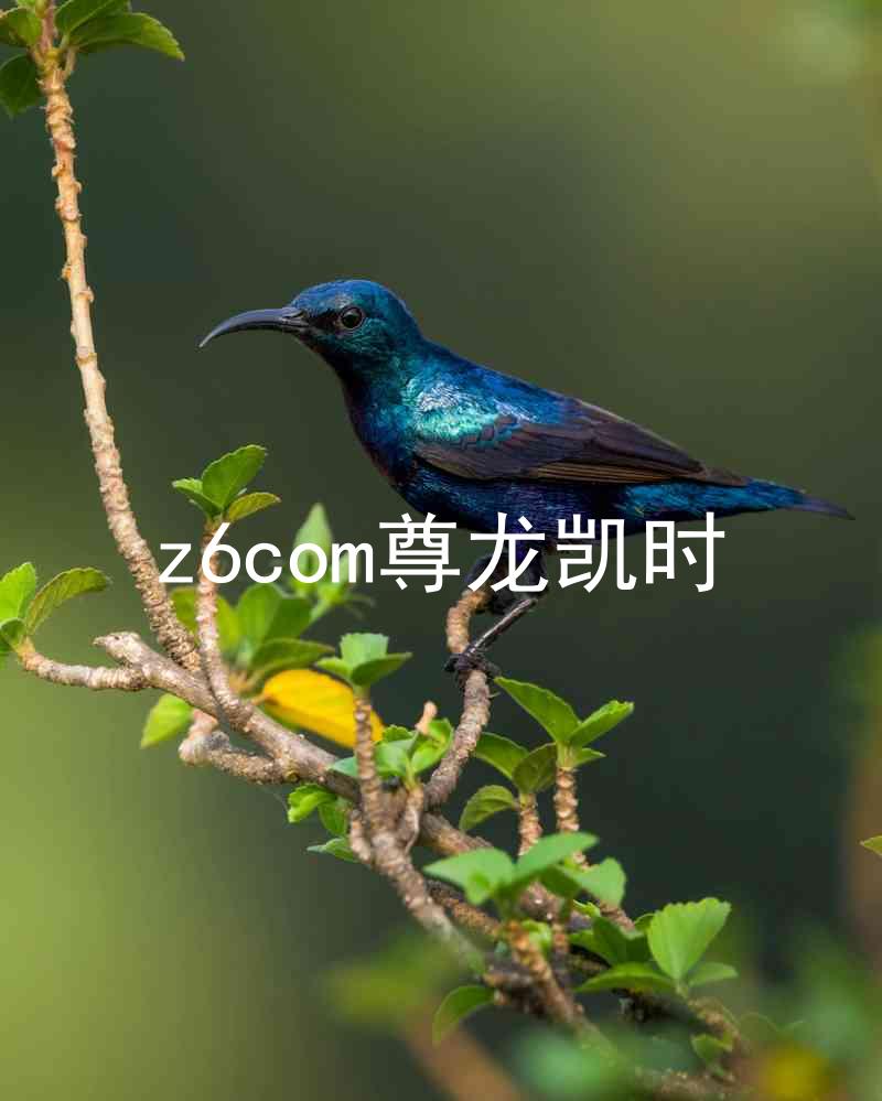 z6com尊龙凯时