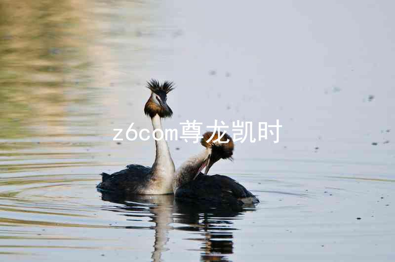 z6com尊龙凯时