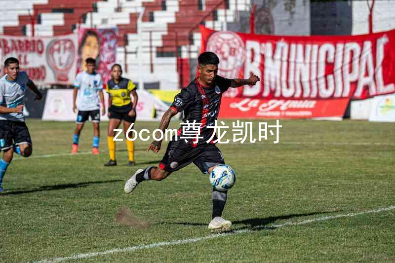 z6com尊龙凯时