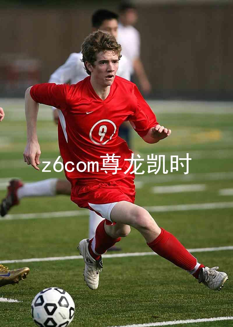 z6com尊龙凯时