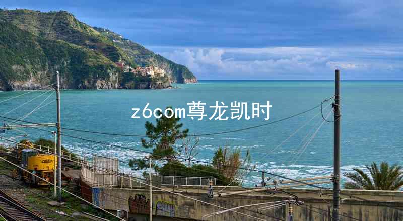 z6com尊龙凯时